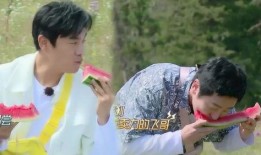 郭京飞吃瓜娱乐,揭秘娱乐圈幕后故事